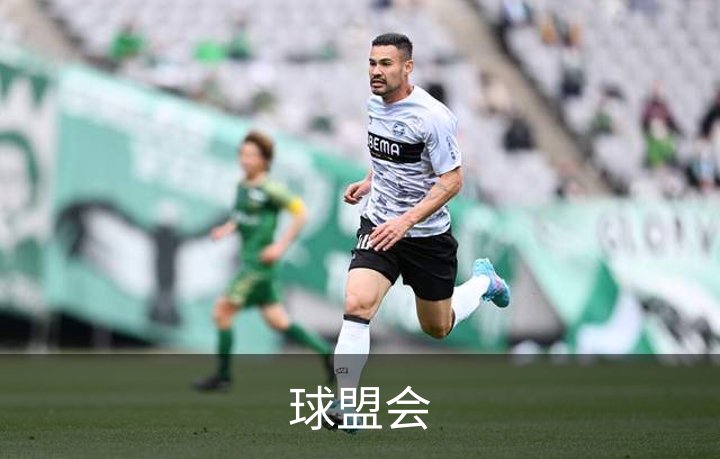 球盟会介绍